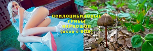 молекула духа Беломорск