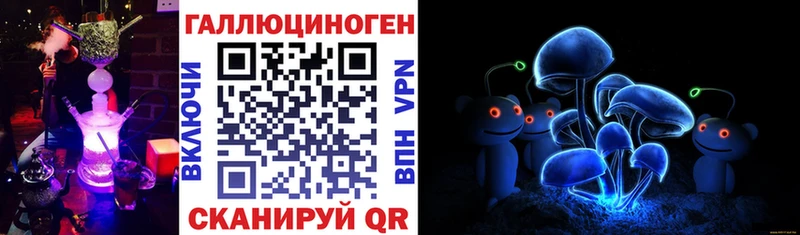 где купить наркоту  Невьянск  Галлюциногенные грибы Psilocybine cubensis 